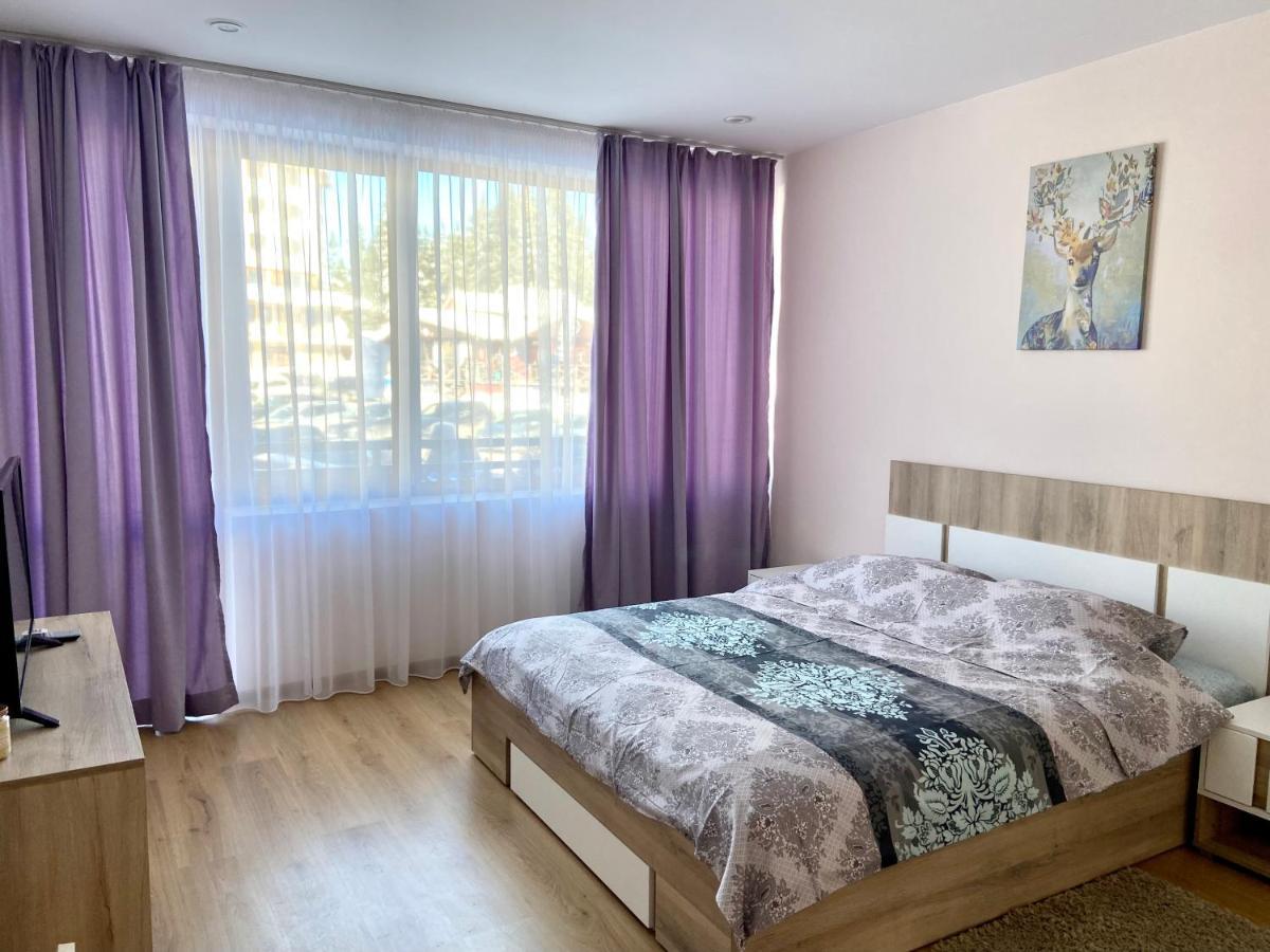 Apartment In Studenets, بامبوروفو المظهر الخارجي الصورة