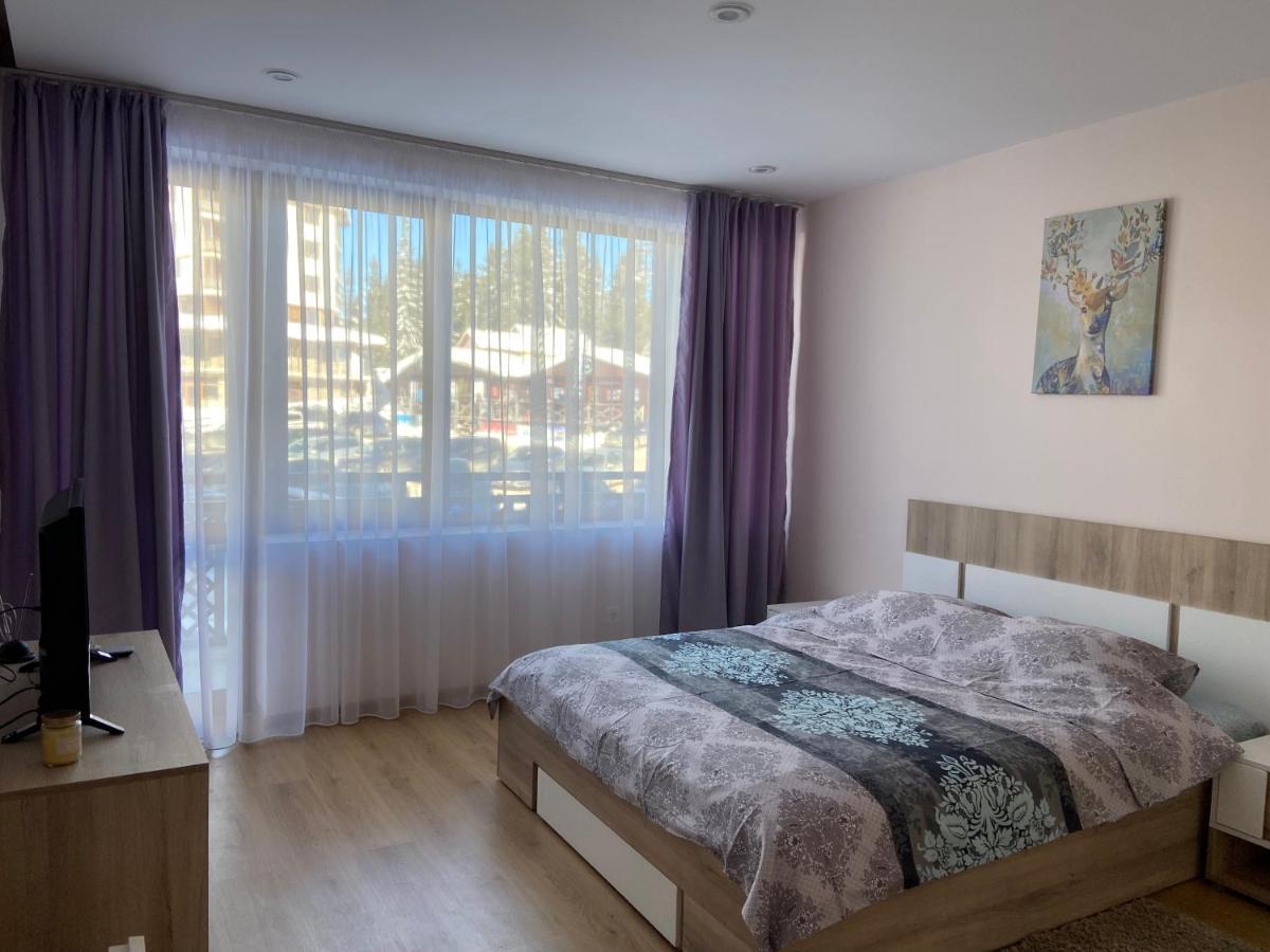 Apartment In Studenets, بامبوروفو المظهر الخارجي الصورة