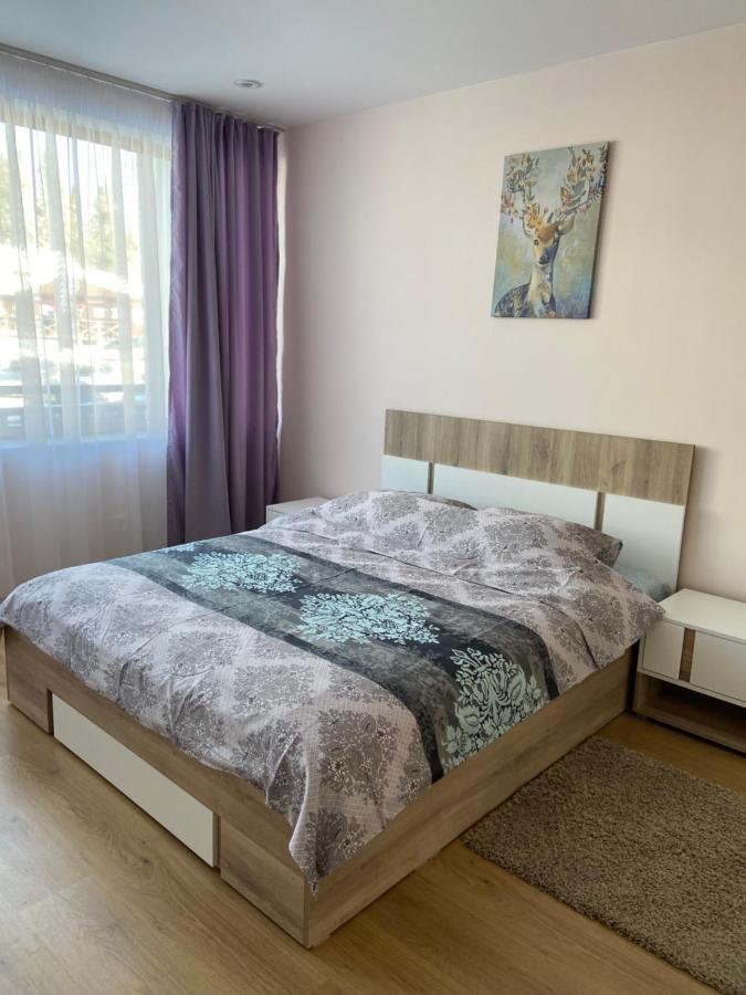 Apartment In Studenets, بامبوروفو المظهر الخارجي الصورة